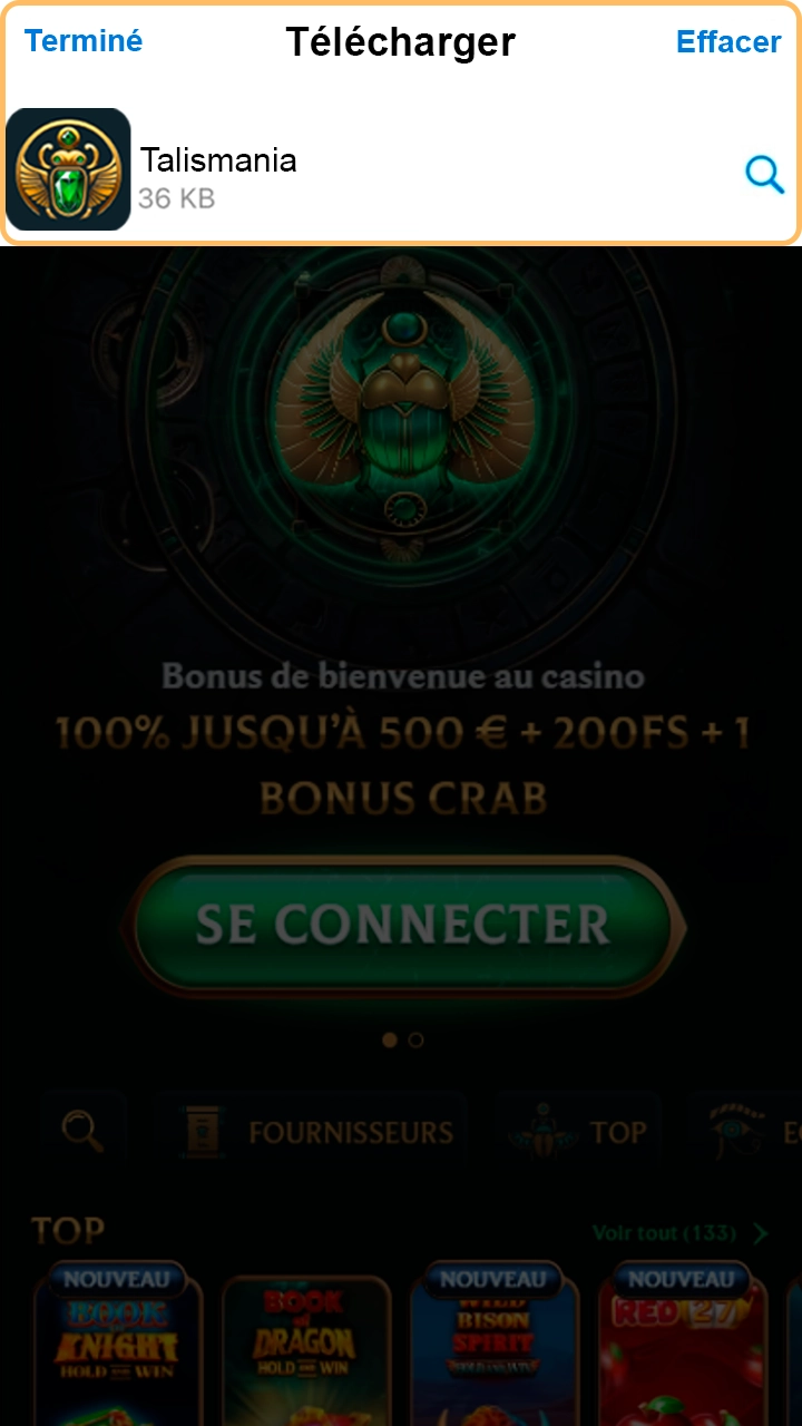 Validez le fichier d'installation mobile de Talismania.